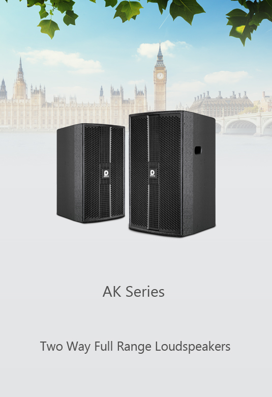 AK 系列-两分频全频音箱